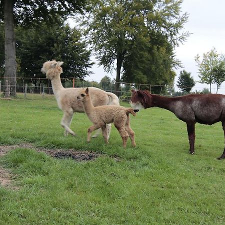 Ferienwohnung Margot Simmerath Rom bilde